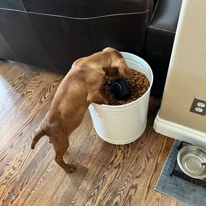 Meet your Posher, Robert